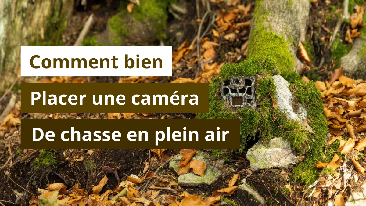 Comment bien placer une caméra de chasse en plein air