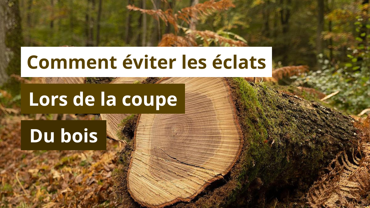 Comment éviter les éclats lors de la coupe du bois