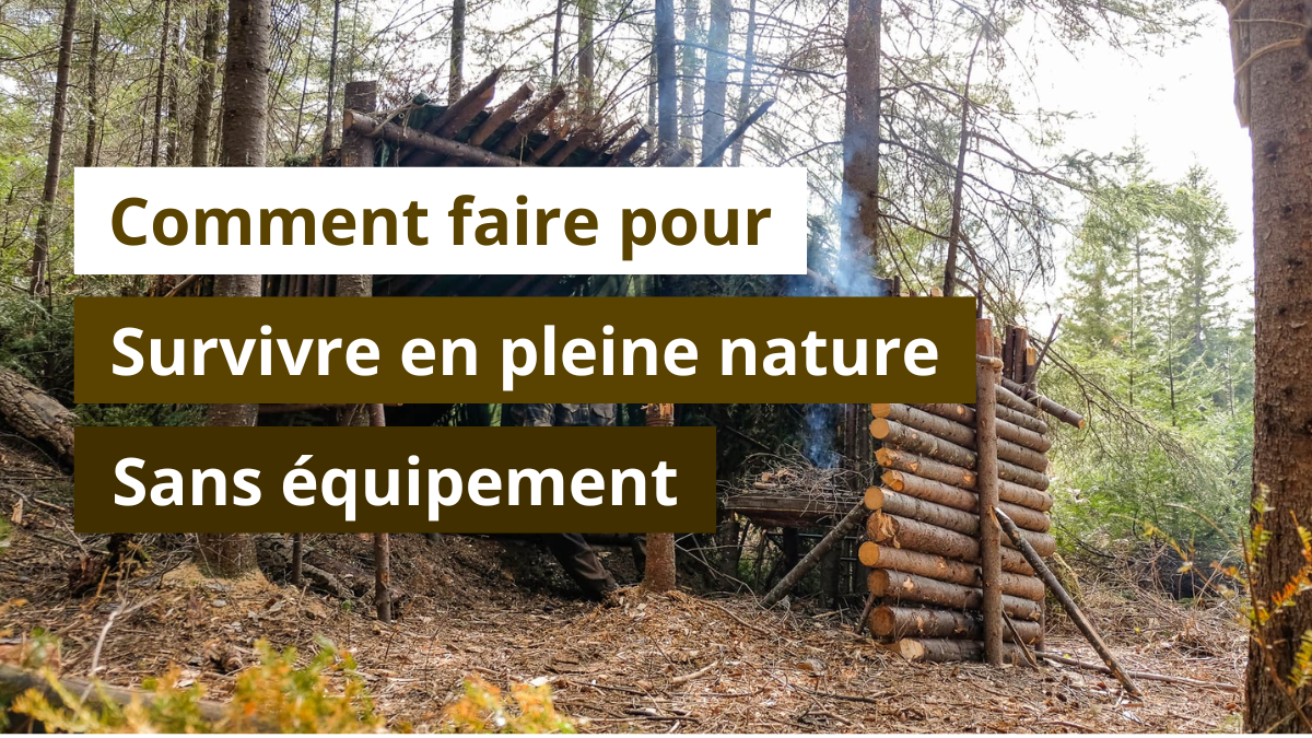 Comment faire pour survivre en pleine nature sans équipement
