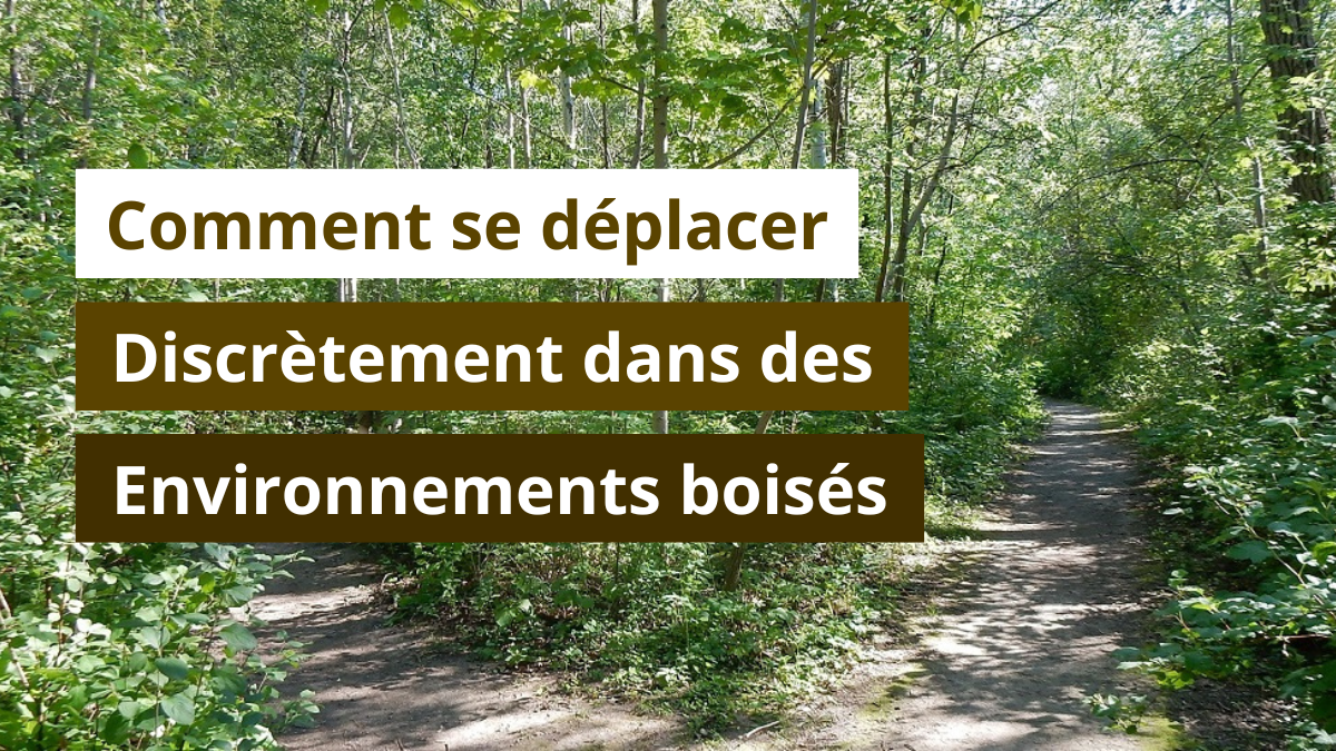 Comment se déplacer discrètement dans des environnements boisés