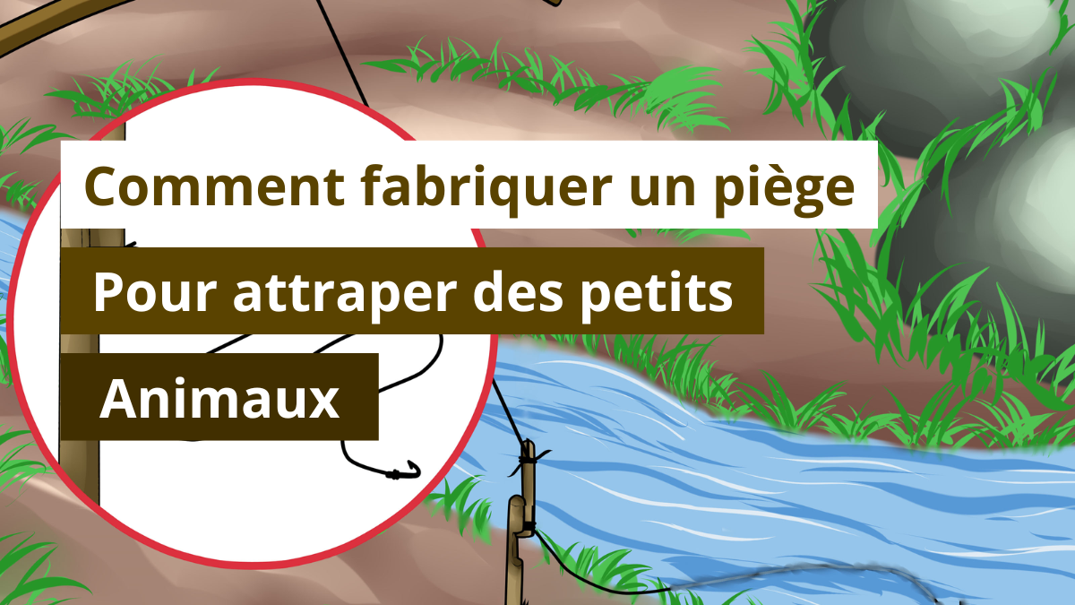 Comment fabriquer un piège pour attraper des petits animaux ?