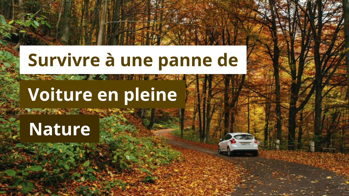 Survivre à une panne de voiture en pleine nature