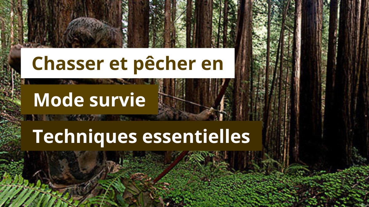 Chasser et pêcher en mode survie : techniques essentielles