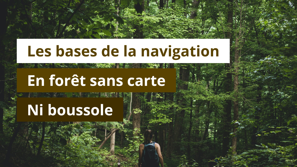 Les bases de la navigation en forêt sans carte ni boussole