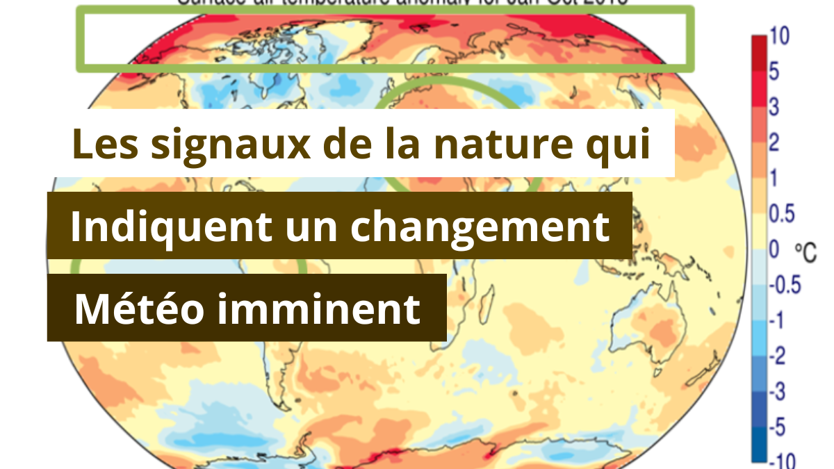 Les signaux de la nature qui indiquent un changement météo imminent