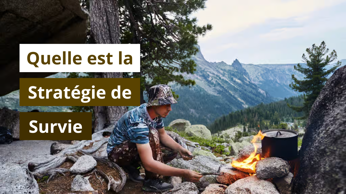 Quelle est la stratégie de survie