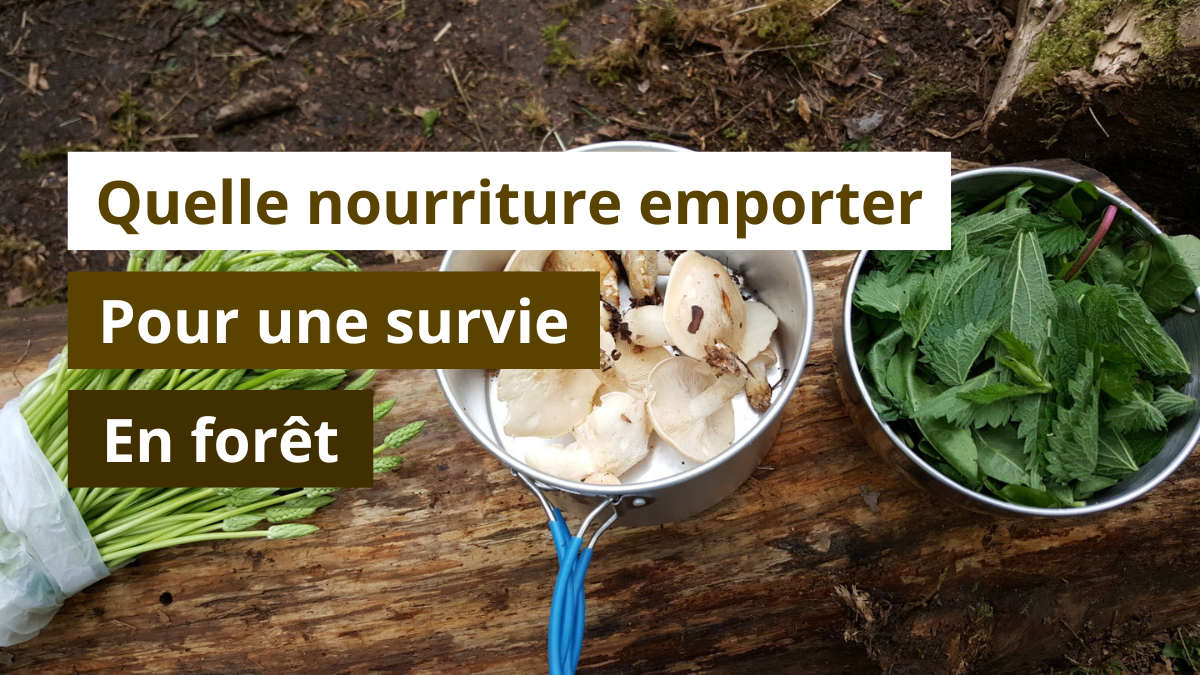 Quelle nourriture emporter pour une survie en forêt