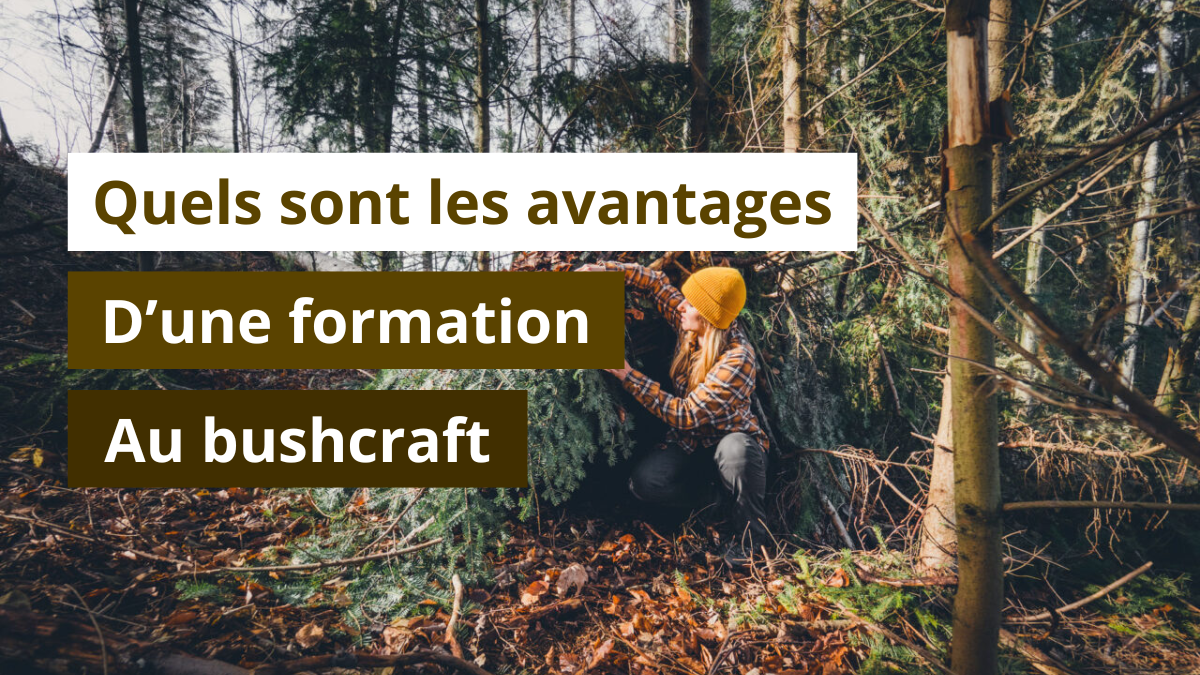 Quels sont les bienfaits de la formation au bushcraft