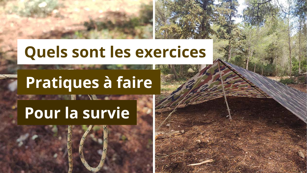 Quels sont les exercices pratiques à faire pour la survie