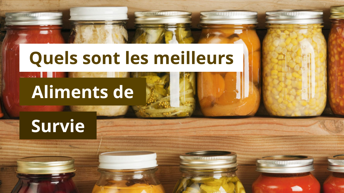 Quels sont les meilleurs aliments de survie