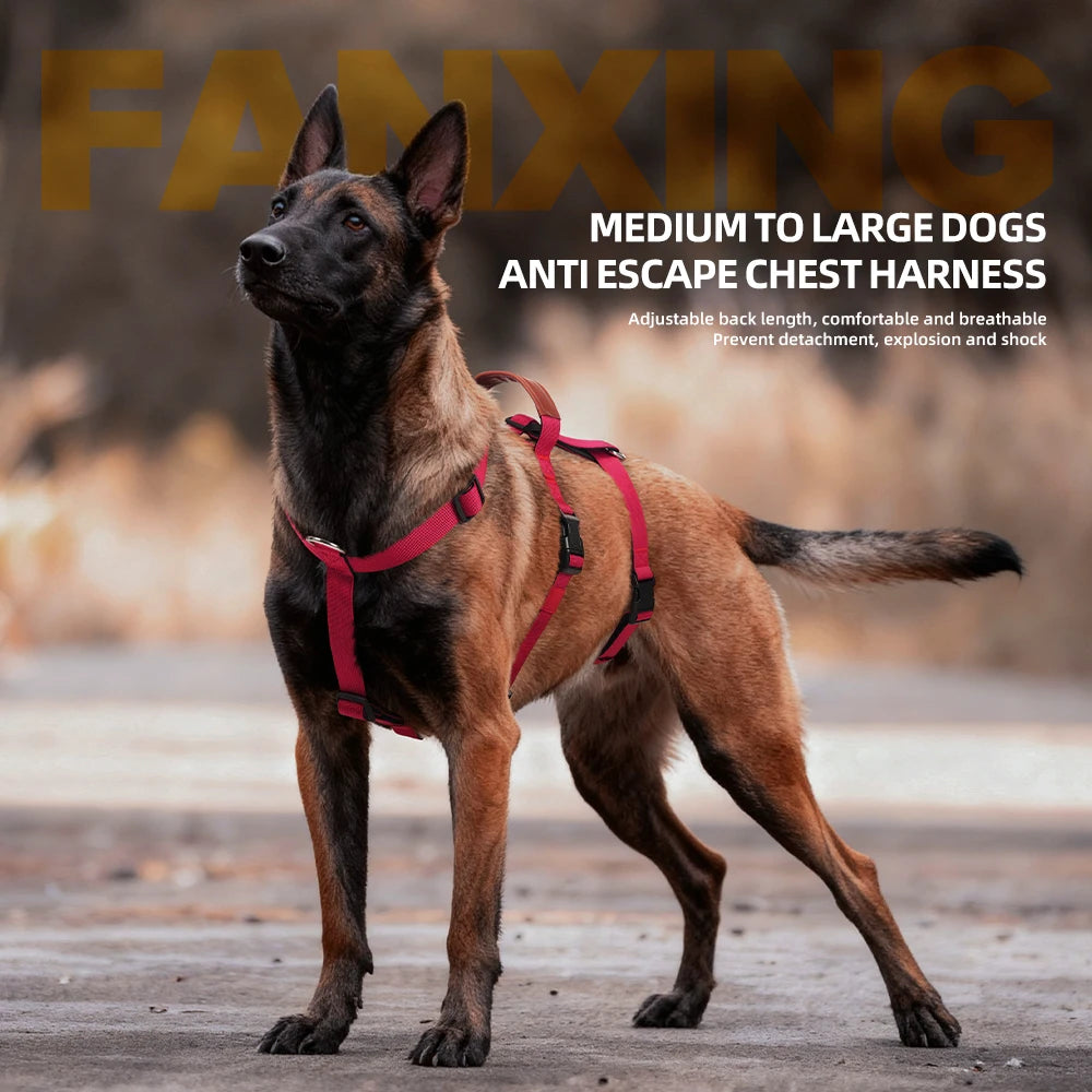 harnais pour chiens moyens et grands