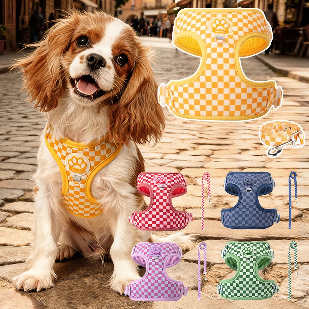 Harnais et laisse ajustables en velours pour petits et moyens chiens et chats design mignon