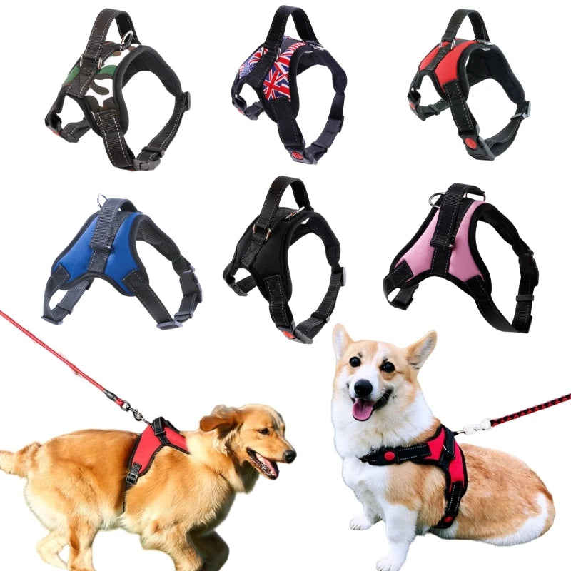 Harnais réglable et robuste pour chiens de petite à grande taille idéal pour Golden Retriever et Chihuahua