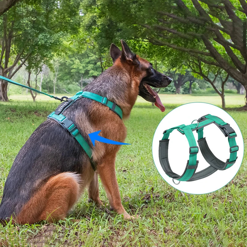 Harnais pour chien ajustable en nylon lavable réfléchissant de nuit design H et anti-traction