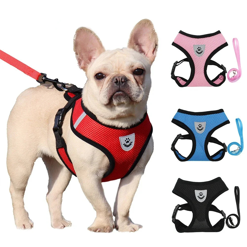 Harnais ajustable en polyester respirant avec laisse réfléchissante pour petits chiens et chats