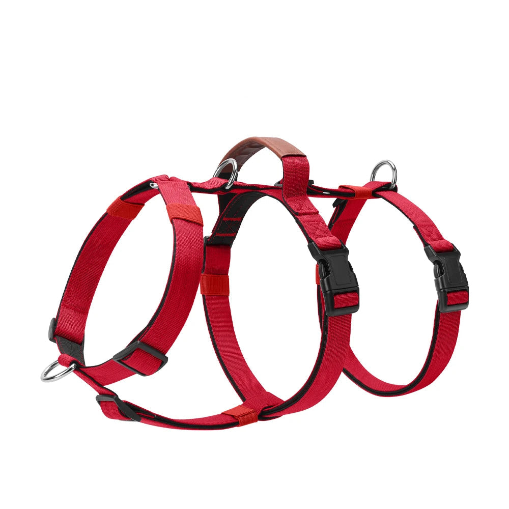 Harnais anti-fuite à contrôle 3 points pour chiens moyens et grands