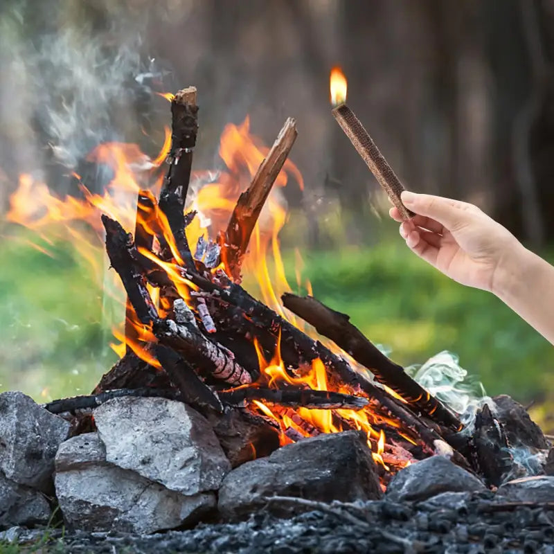 Bâton Allume Feu en Charbon de Bois - 30 bâtons