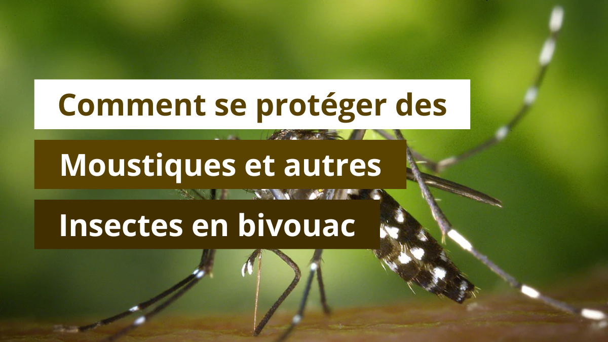 Comment se protéger des moustiques et autres insectes en bivouac ?