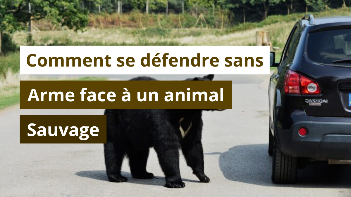 Comment se défendre sans arme face à un animal sauvage ?