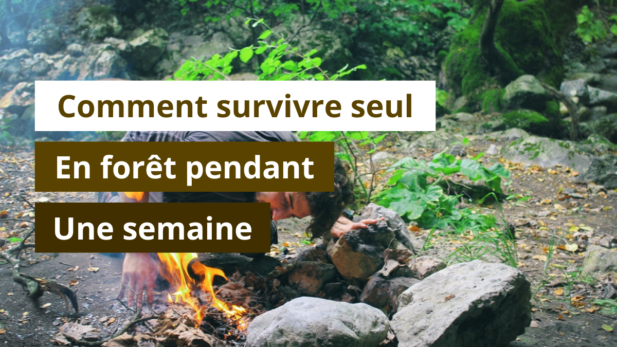 Comment survivre seul en forêt pendant une semaine ?