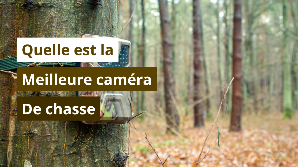 Quelle est la meilleure caméra de chasse