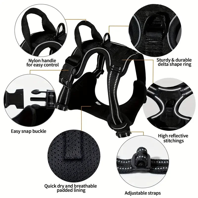 accessoire en cuir pour grands chiens