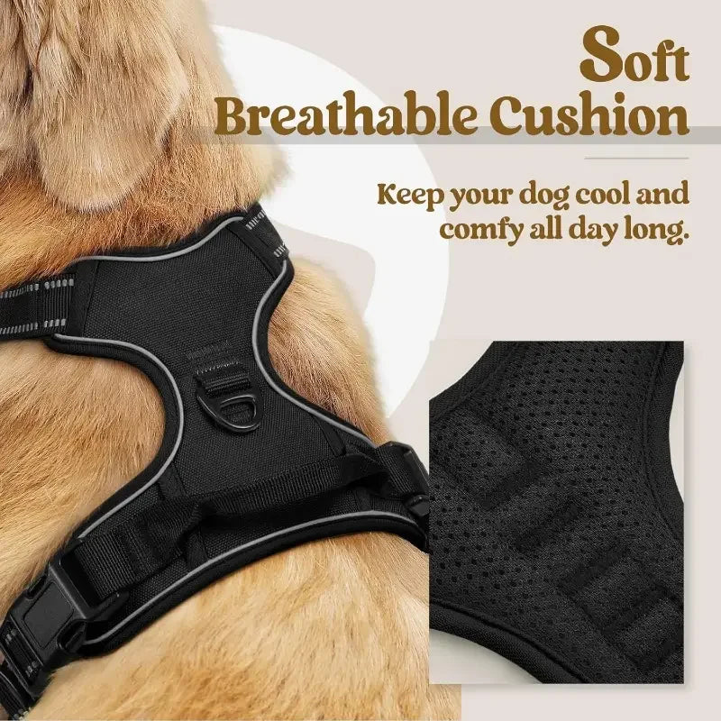 harnais de sécurité en cuir pour chien