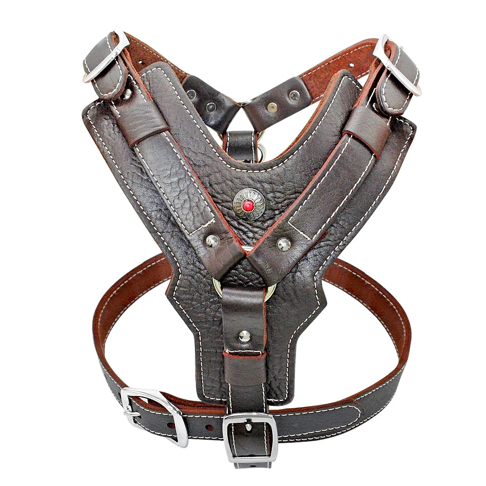 accessoire pour chien en cuir avec contrôle rapide