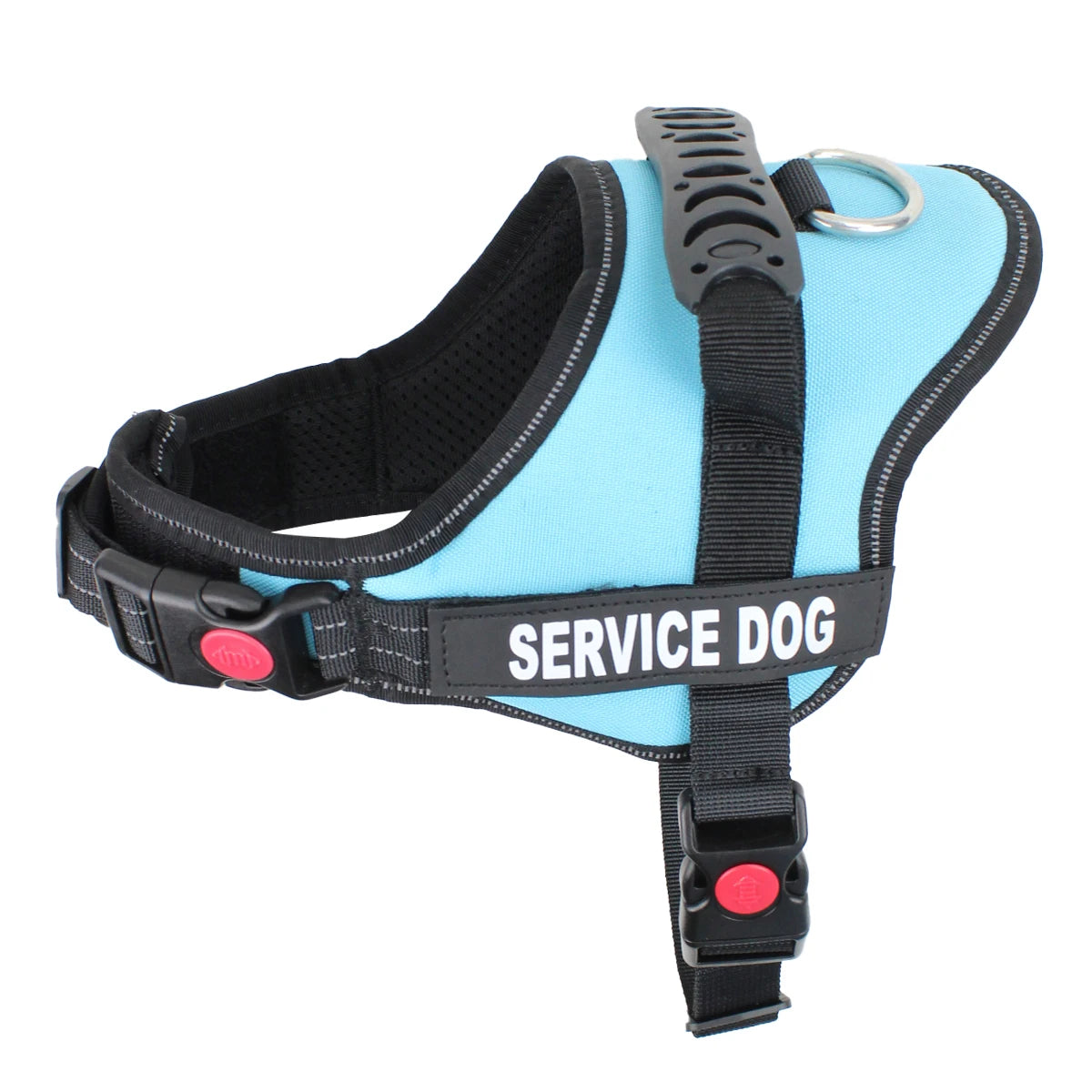 accessoire éthique pour chien personnalisable
