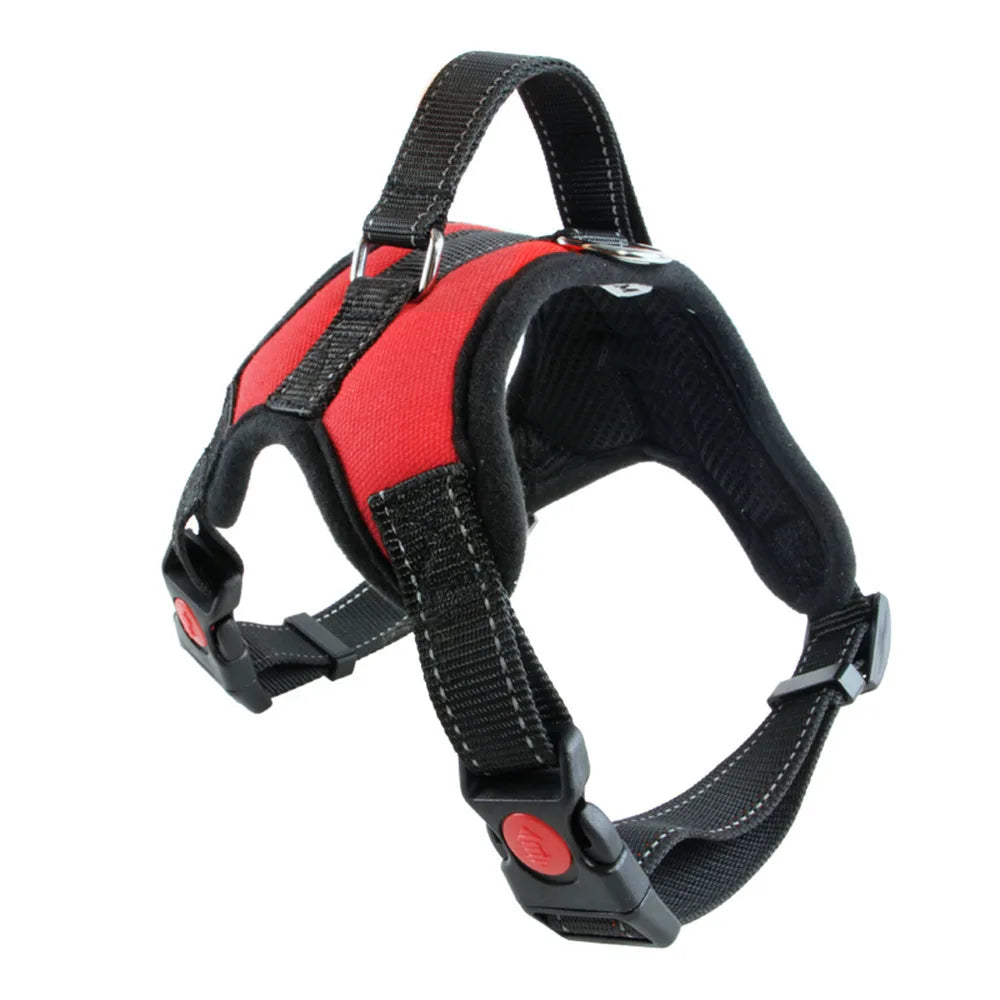 harnais pour chien avec sangles réglables