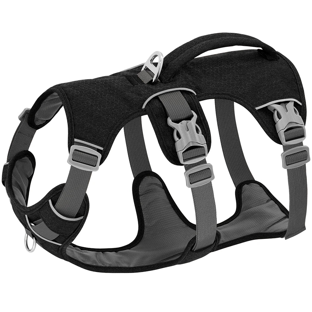 harnais ajustable en nylon pour chiens actifs