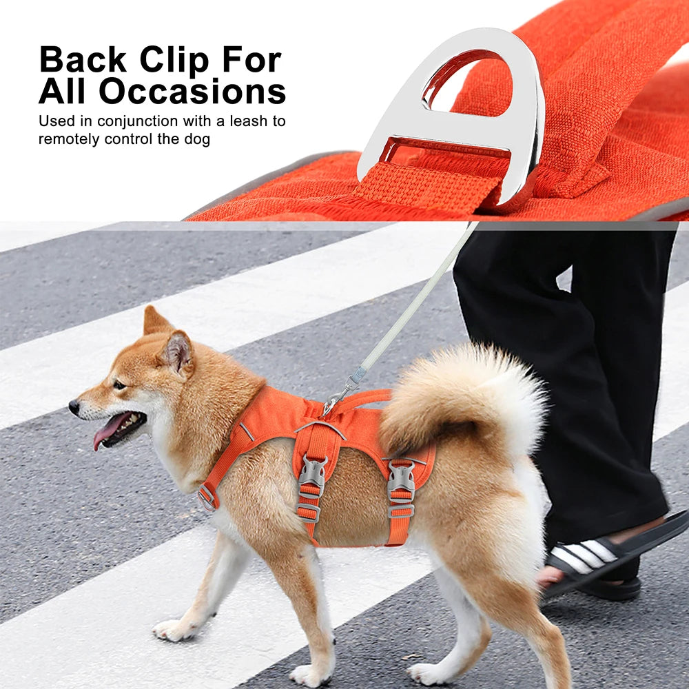 harnais léger pour chien moyen en nylon