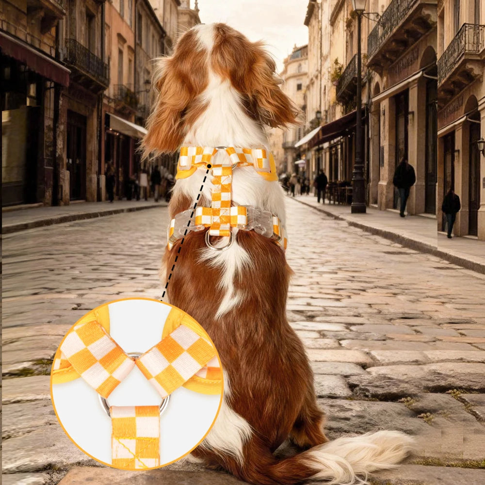 laisse en velours pour petit chien