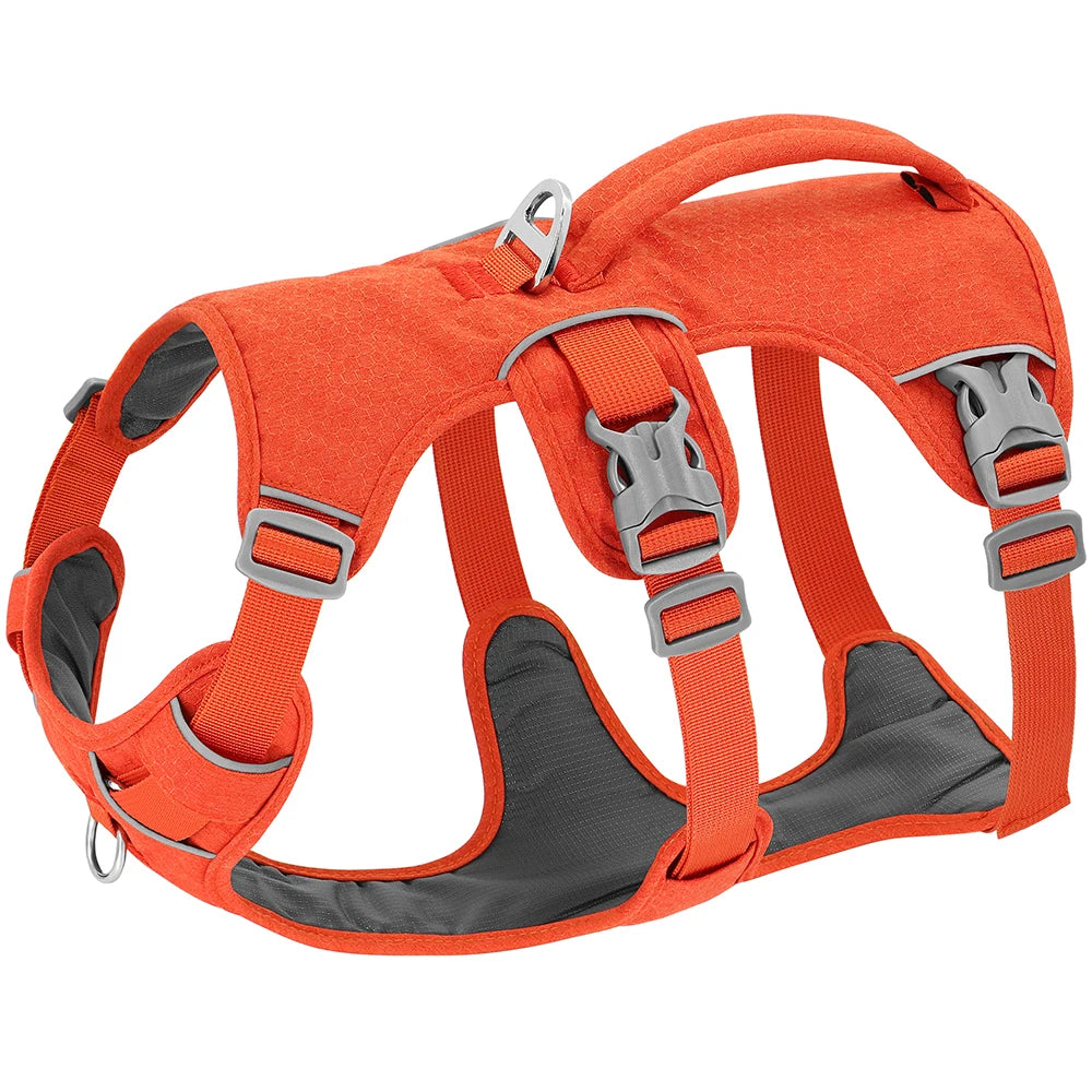 harnais ergonomique pour chien avec réflecteurs