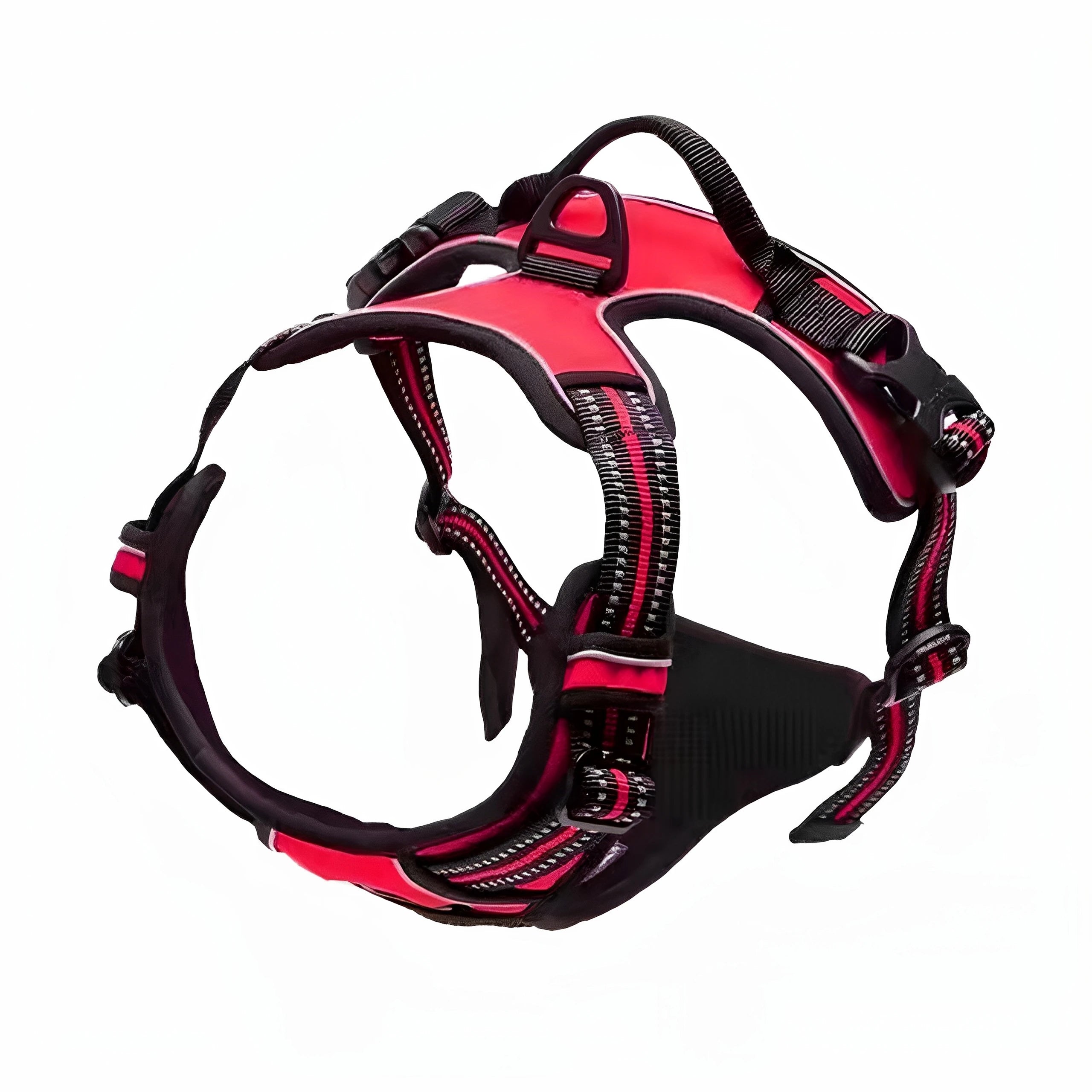 collier ergonomique pour grands chiens