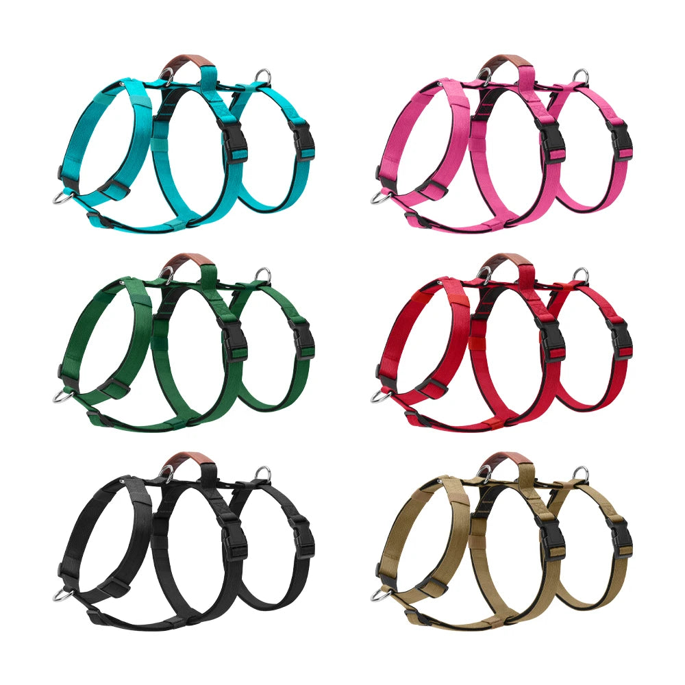 harnais réglable pour animaux de compagnie