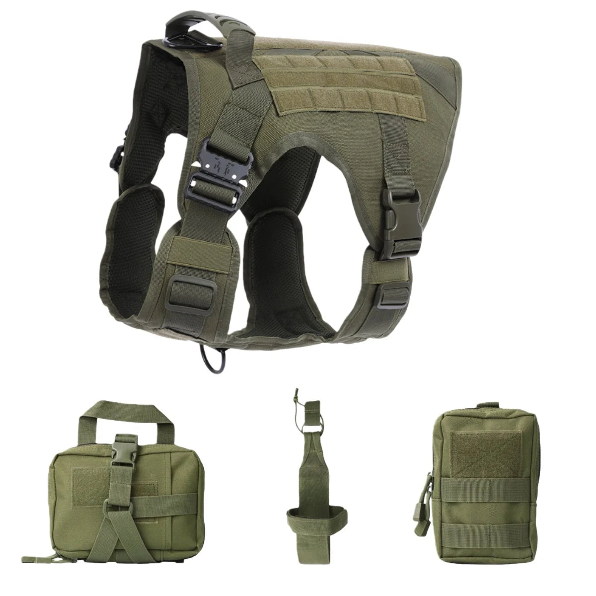 accessoire indispensable pour chien actif