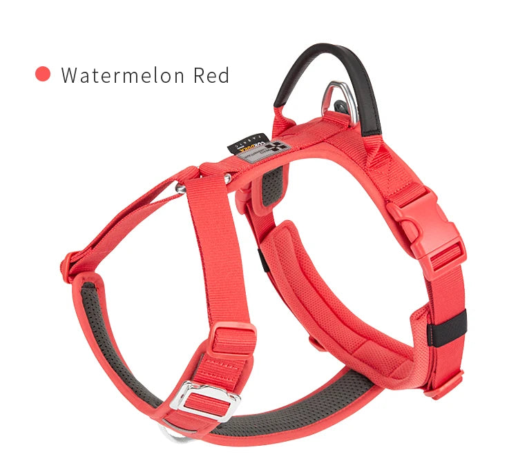 harnais pour chien confort ajustable et pratique en extérieur