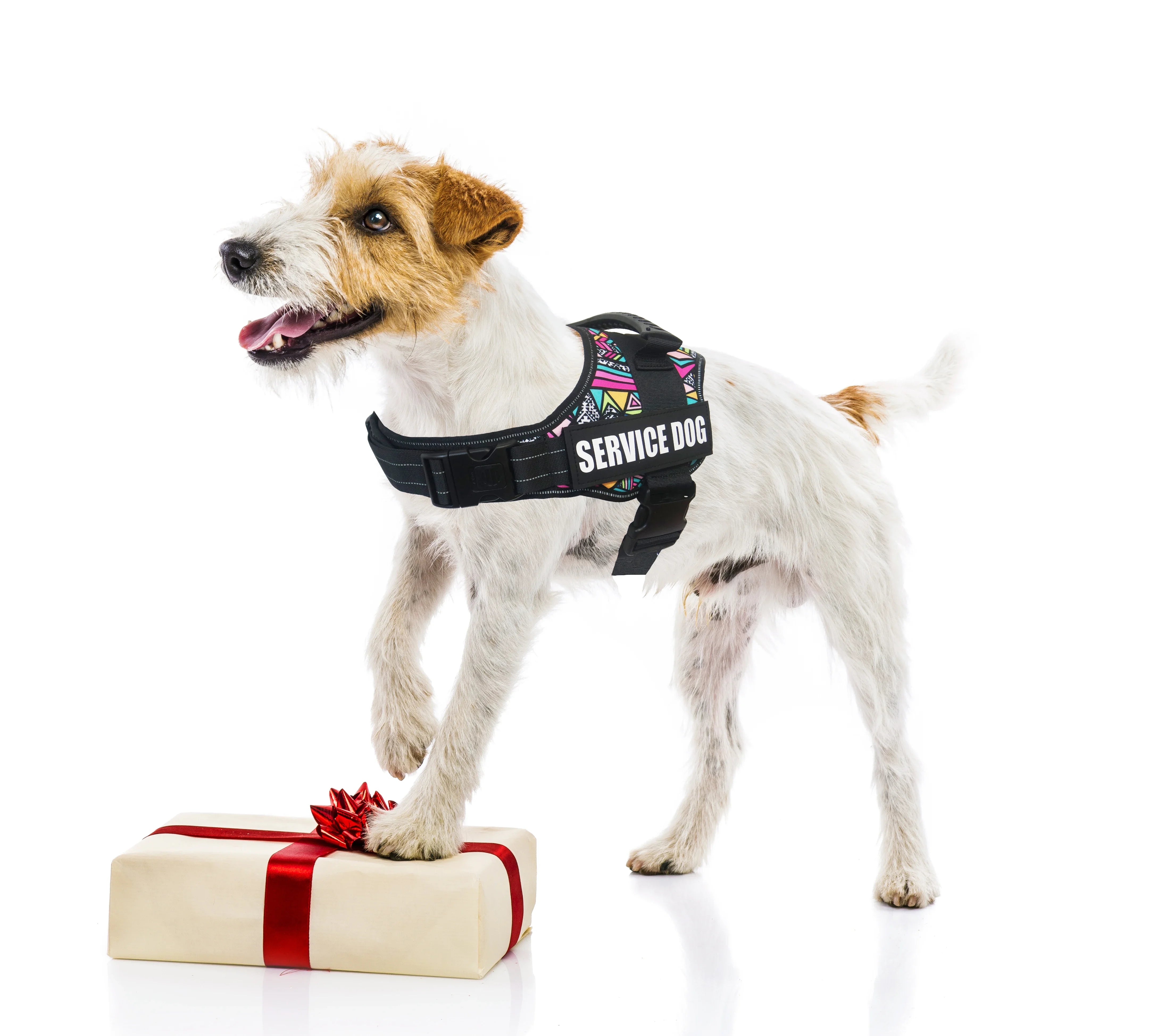harnais de service pour chiens avec patches amovibles