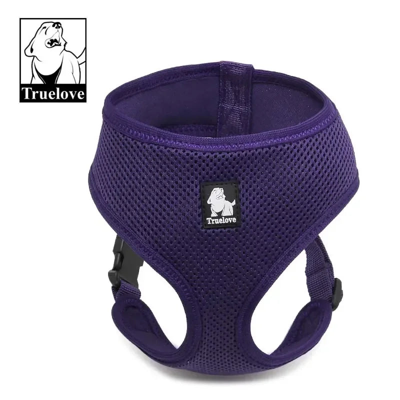 accessoire pour chien design moderne en nylon