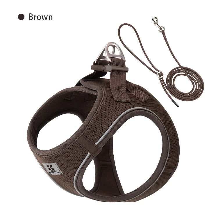 harnais ergonomique pour promenade de chien