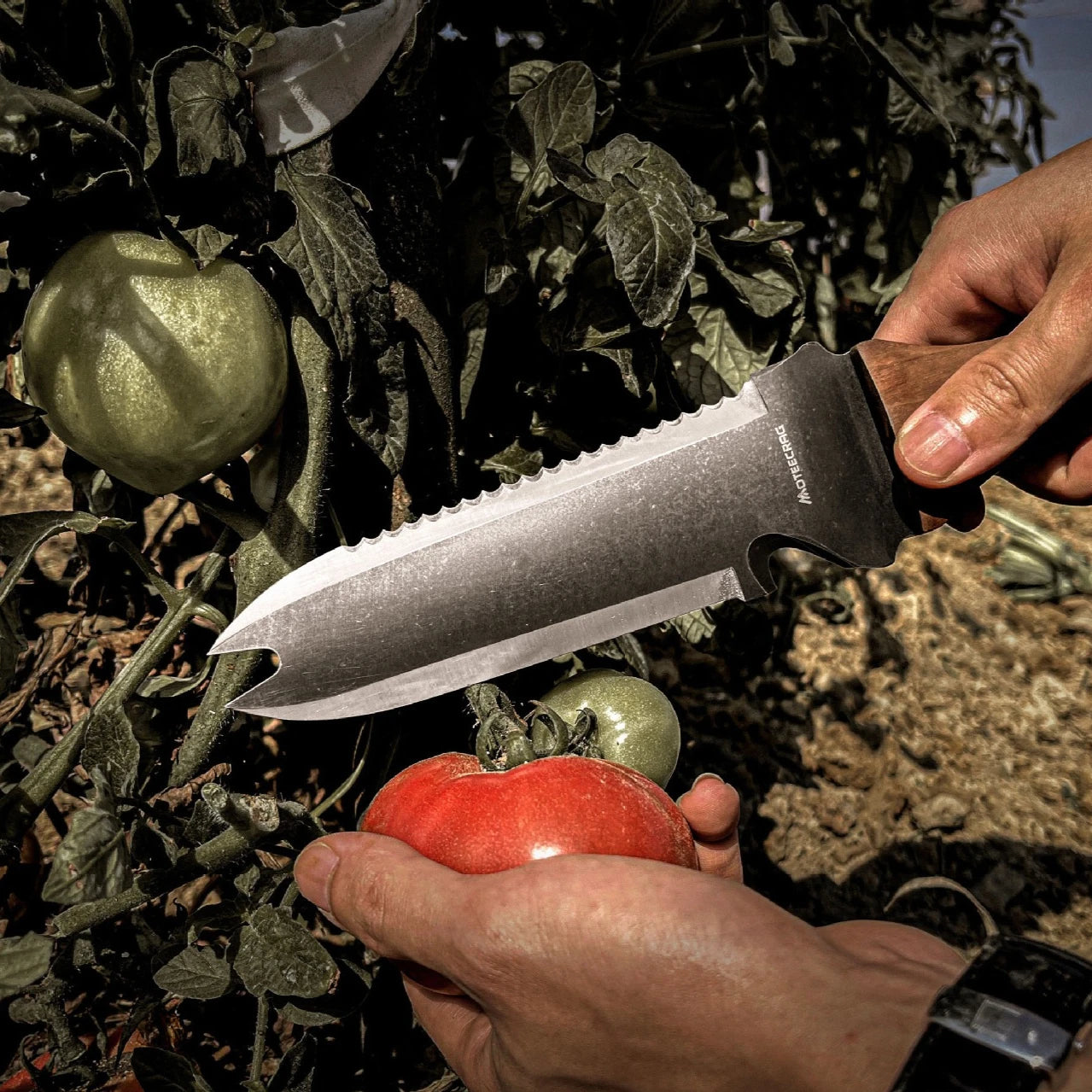 pelle en acier avec étui pour le jardinage