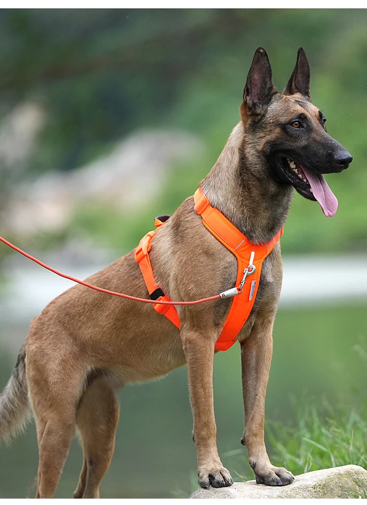 harnais pour chien médium sans traction et respirant