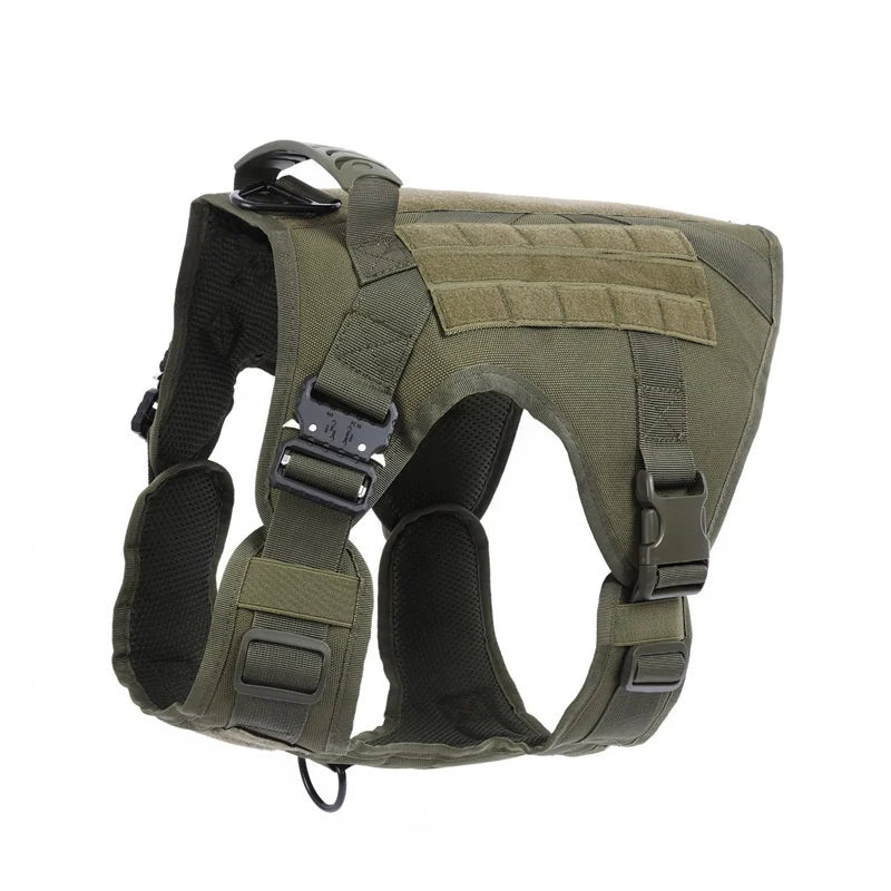 gilet de contrôle pour chien