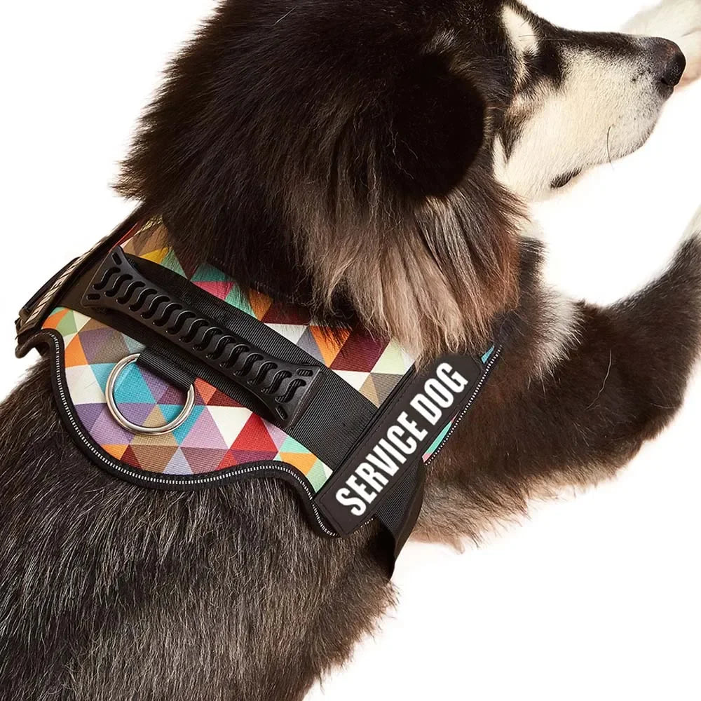 harnais de soutien émotionnel pour grand chien