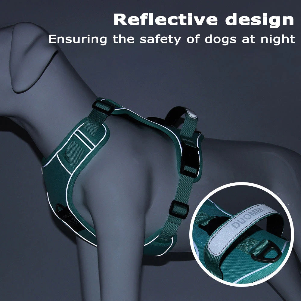 accessoire de promenade pour chien avec Airtag