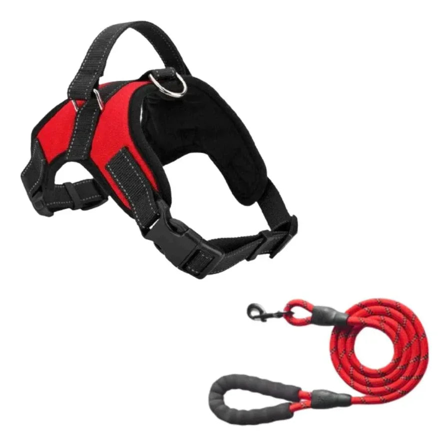 Harnais pour chien réfléchissant sans tirage