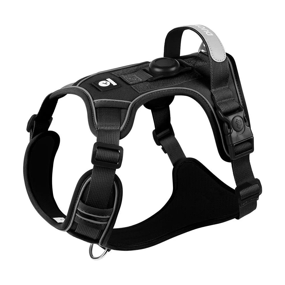 laisse durable pour chiens actifs