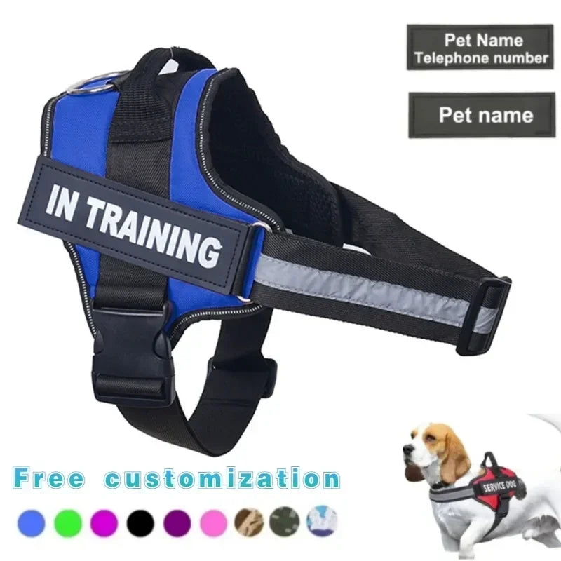 Harnais pour chien réfléchissant personnalisé et respirant sans tirage - Accessoires de dressage