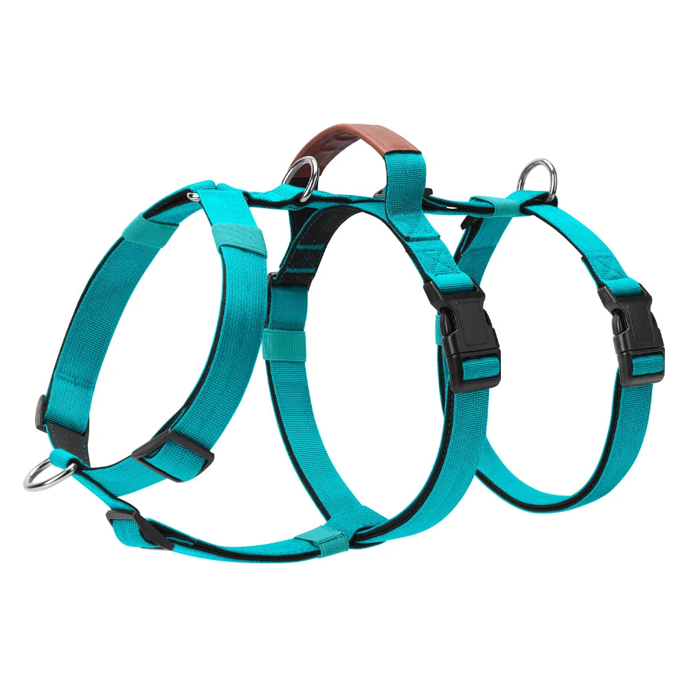 harnais efficace pour la maîtrise des chiens